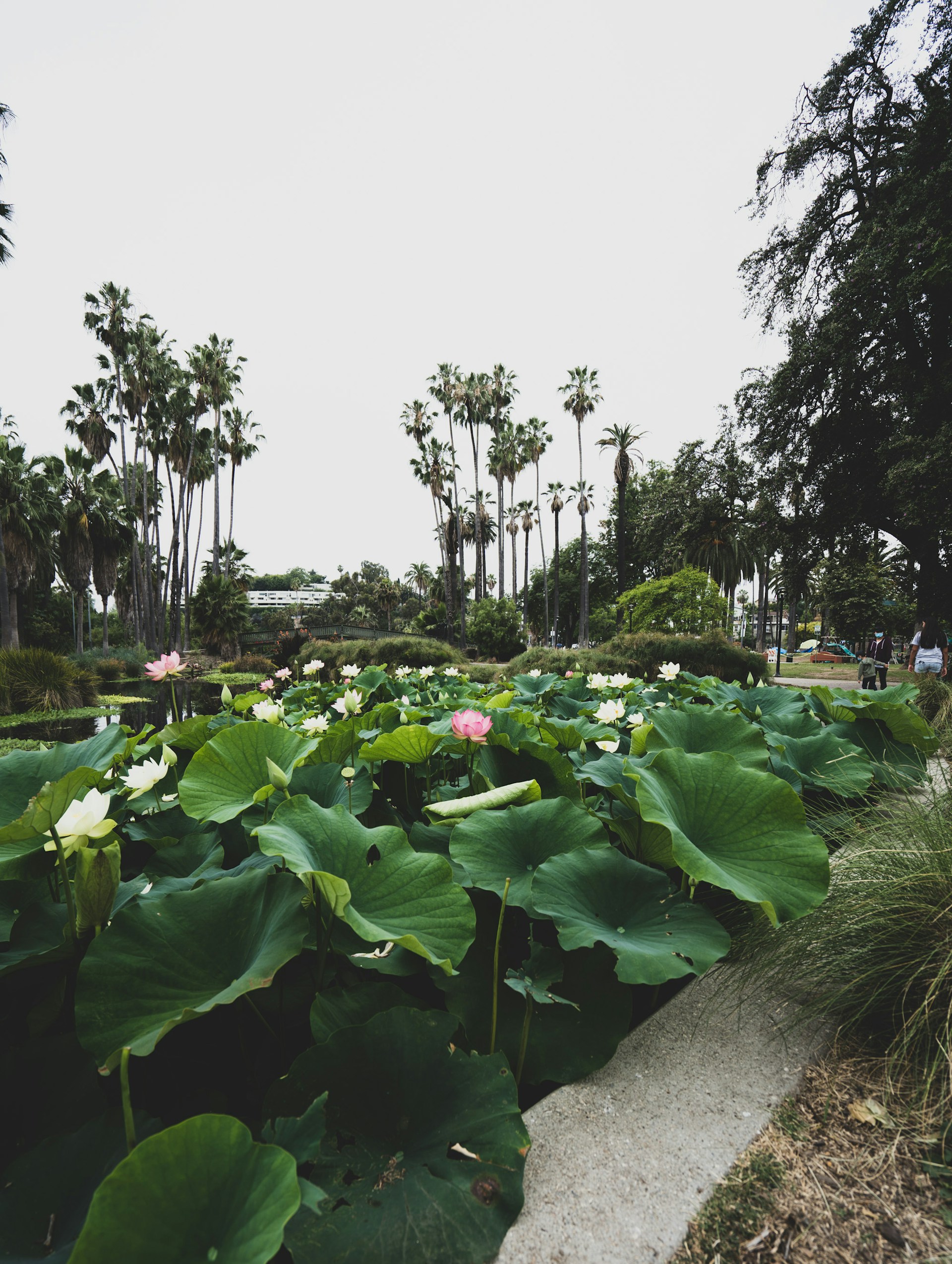 Things To Do In Echo Park
